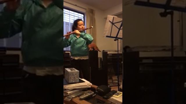 Lynn-Dizi solo смотреть онлайн