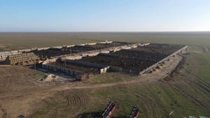 Откорм бычков. Полезно , выгодно , прибыльно , рентабельно .Калмыкия!!!!!!!!!