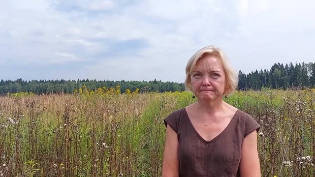 Ландшафтный фруктовый сад в Агроподворье? Спрашиваем Ольгу Пятакову. смотреть онлайн