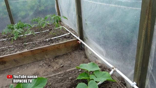 Вічний крапельний полив своїми руками! Зроби собі такий