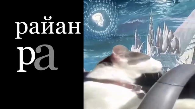 я понял почему все любят Райана Гослинга смотреть онлайн