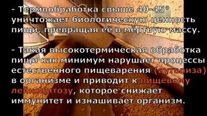Вся правда и реальное производство промышленных кормов для собак и кошек.