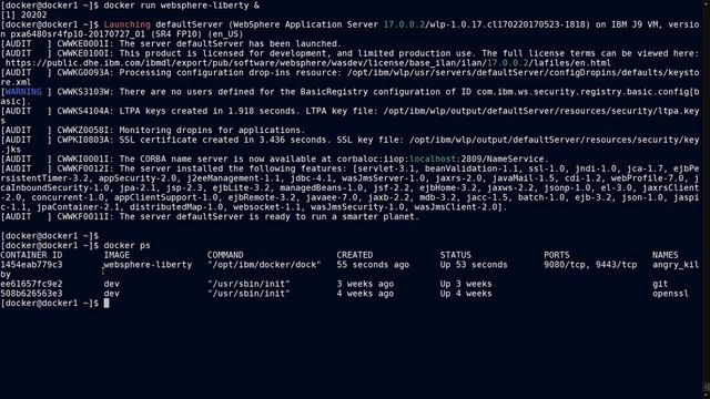 Docker Tutorials |  Docker commands with Examples  (docker ps, stats, run, exec, rm) and Networking