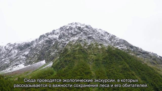 Пунта Кана на карте Доминиканской республики (экскурсии, достопримечательности)