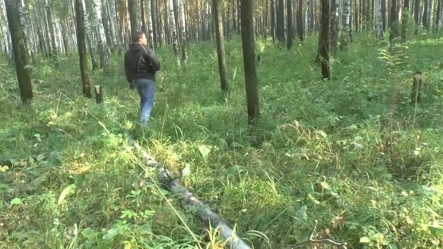 СУПЕР Пила - SILKY KATANABOY