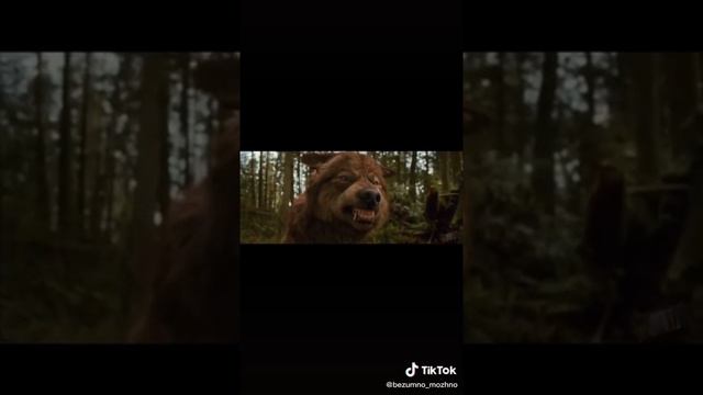 Цитата волка 🐺 смотреть онлайн