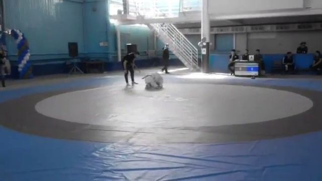 Шерхан БЖЖ Актау 2016г 2-я схватка смотреть онлайн