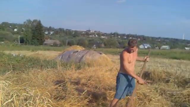 жнем полбу смотреть онлайн