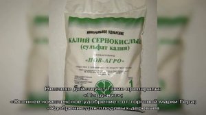 Готовим сад к зиме — чем подкормить плодовые деревья осенью?