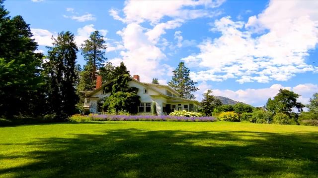 free download beautiful background video sound nature animated non copyright?? смотреть онлайн