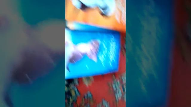 Книги Холли Вебб