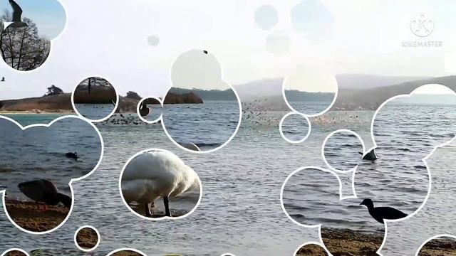 Isaiah 14:27 || Nothing Can Stop God's Plan for your Life.|| Higala Igso-on. смотреть онлайн