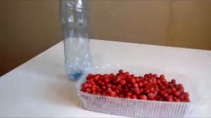 Замораживаем смородину /в бутылках/.