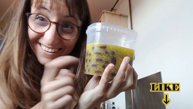 Nori ¿Cómo me como la alga Nori? #pasta 1 How do I eat Nori seaweed? смотреть онлайн