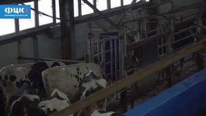 Опыт реализации национального проекта в АО «Племзавод-Трудовой»