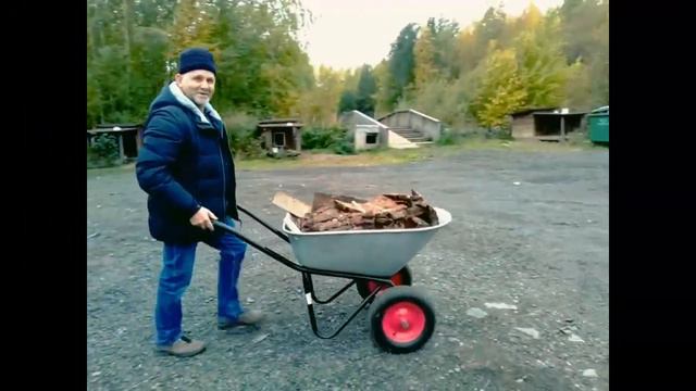 Помощь приюту для животных смотреть онлайн