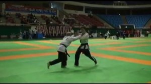 Jim Bannister - 2010 World Hapkido Championships in Gwangju, South Korea