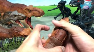 MY MEGA T-REX VS INDORAPTOR Collection - Jurassic World Fallen Kingdom Dinosaur