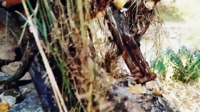 Делаем водопад с КОЛЕСОМ. Наш первый водопад! #28 смотреть онлайн