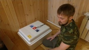 ИНКУБАЦИЯ ЯИЦ МУСКУСНОЙ УТКИ-ИНДОУТКИ