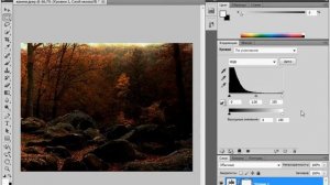 Корректирующие слои в Adobe PhotoShop CS5 (19/51)