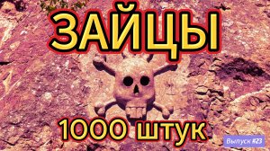 #23 Долина зайцев. Крупнейший АРТ-объект в Карелии (Valley of the hares)