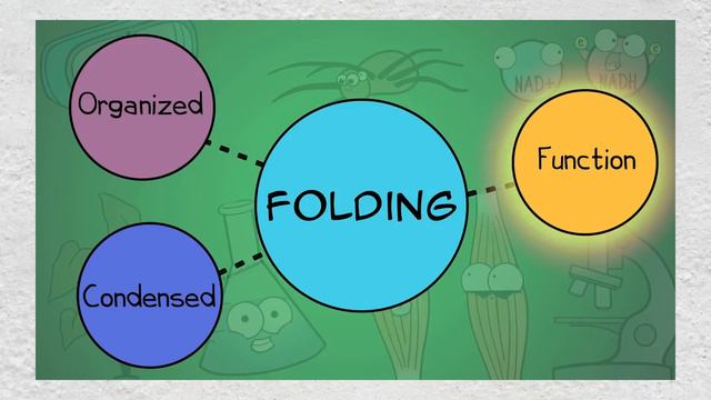 Amoeba Sisters channel review [VLOGBUSTERS] смотреть онлайн