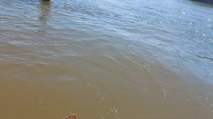 селитренное сентябрь 21