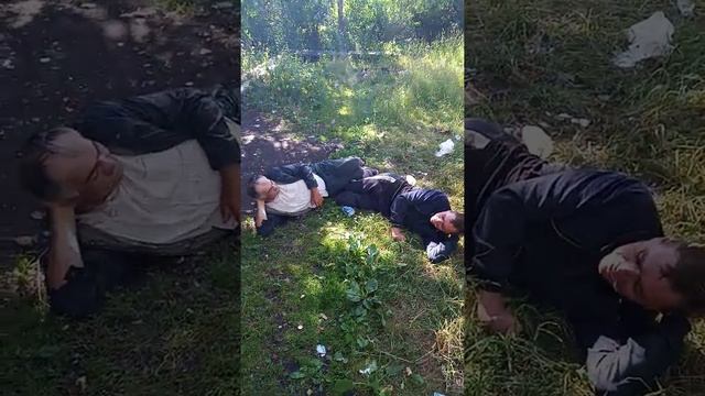 #как #не #надо #пить смотреть онлайн