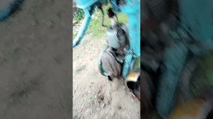 бензопила, Урал 2.электронно. бензопила дружба - 4.