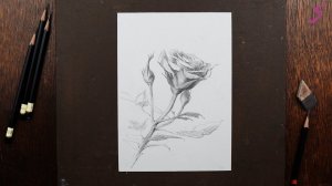 Марафон «На старт, внимание, май!». 2.Роза