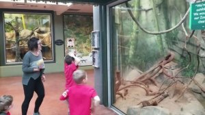 Забавные и смешные детишки, животные смешные