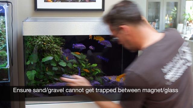 Top 5 Aquarium Glass Cleaning Tools смотреть онлайн