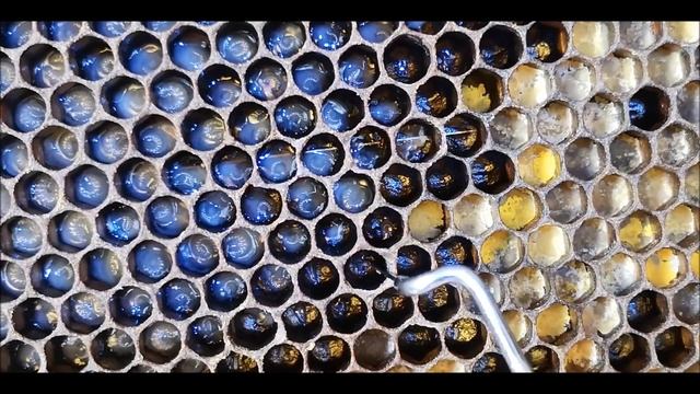 Перенос личинок шпателем Владислава Дончика. Прививочный шпатель в работе. Вывод маток/ www.uley.in смотреть онлайн