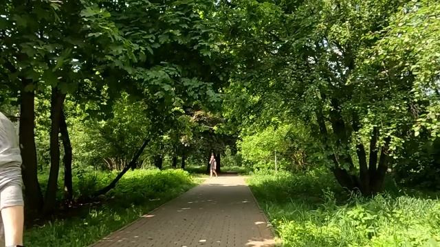 Найдя на свалке старый бинокль, бродяжка следила за домом богатого хирурга, а увидев странного гост смотреть онлайн