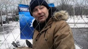 г. Шахтерск!!! Ярмарка-Выставка голубей.