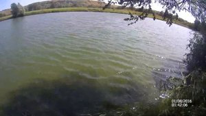 Ловля белого амура на легкую снасть.