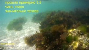 Из Екатеринбурга в Крым на машине! Всей Семьей! Оленевка!