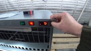 Терморегулятор STC-1000.