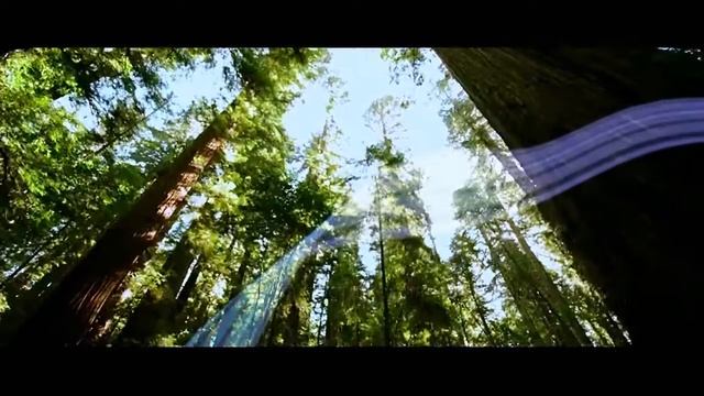 Кондиционеры Haier серии Crystal смотреть онлайн