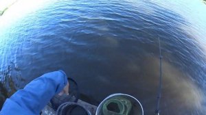 Есть о чем подумать  Херабуна корея