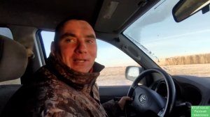 Результат ДНК теста | Табунное коневодство