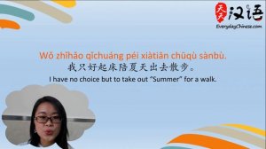 (Reading with Pinyin Subtitle) Pet Dog - 宠物狗