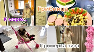 Покупки к морю// Грибница// Примеряю низ// Коляска+котик