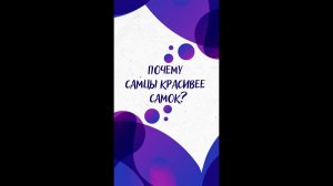 Почему САМЦЫ КРАСИВЕЕ самок? — Научпок #shorts