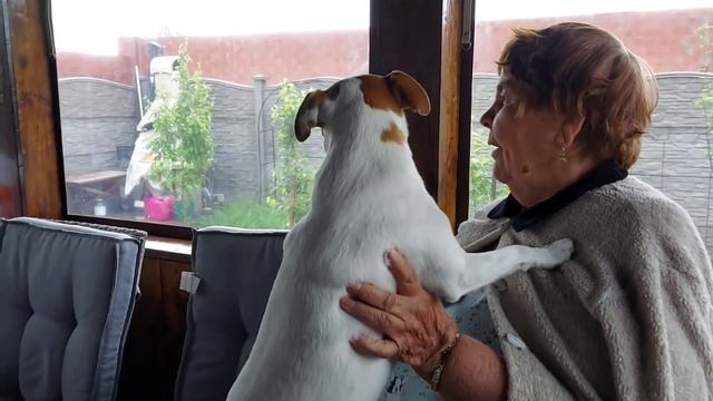 Сегодня еду за правами будем обмывать смотреть онлайн