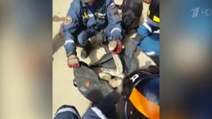 Во дворе жилого дома столичного района Бескудниково дворник обнаружил полуживого питона