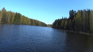 Deps Balisong жарит! КРОКОДИЛЫ поднимаются с глубины! Твичинг крупной щуки на пруду осенью.
