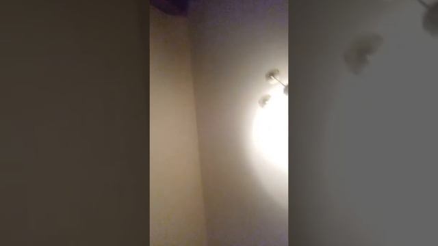 Я проиграл А моя сестра выиграла щас Челлендж будет про волосы смотреть онлайн