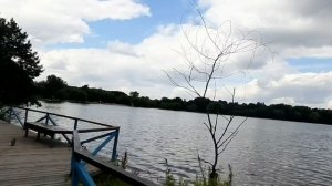 Москва. Прогулка вокруг Белого озера. Черное озеро. Косино